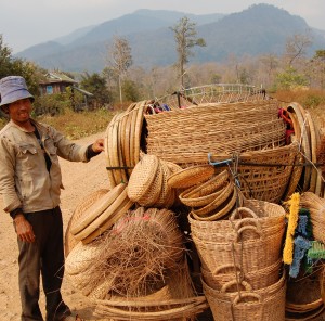 Rattan baskets made from Calamus salicifolius.