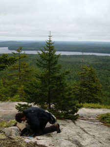 James Lendemer in the Smoky Mountains