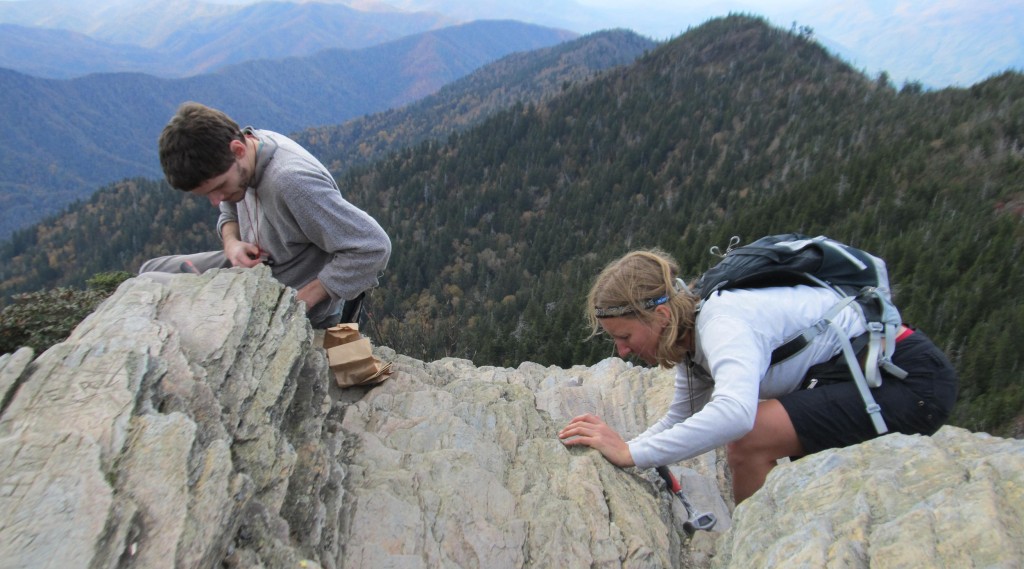 Together, Lendemer and Tripp prove a formidable team.