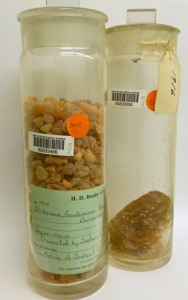Frankincense and myrrh in our Rusby Economic Museum collection.