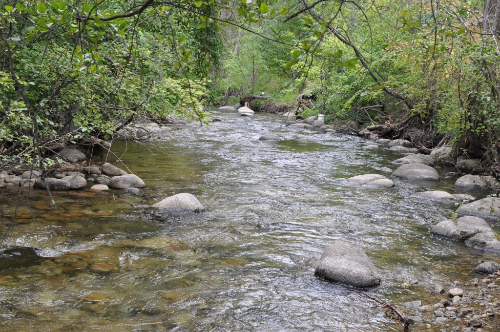 Trepanier Creek, British Columbia, a fast speed creek and one of Xian's sampling sites
