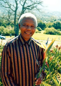 Nelson Mandela with his namesake bird of paradise cultivar