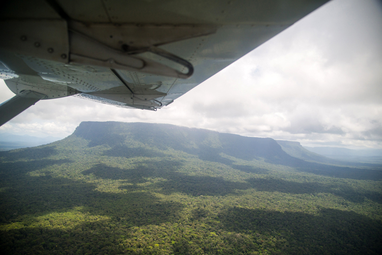 Our first view of the Tafelberg, rising from the surrounding forest as we fly into Rudi Kappel airstrip