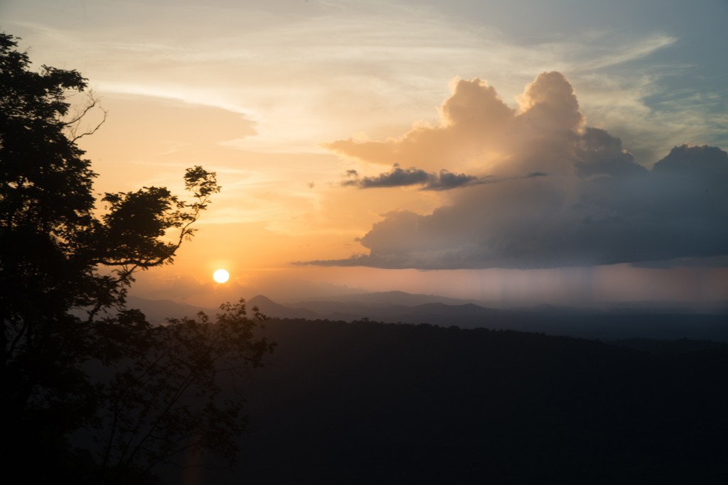 The sun sets over the forest and storms roll in towards our camp