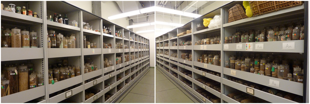 Museum of Economic Botany