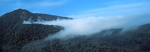 The Serra do Mar between Parati, RJ and Picinguaba, SP