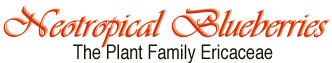 title.gif (6641 bytes)