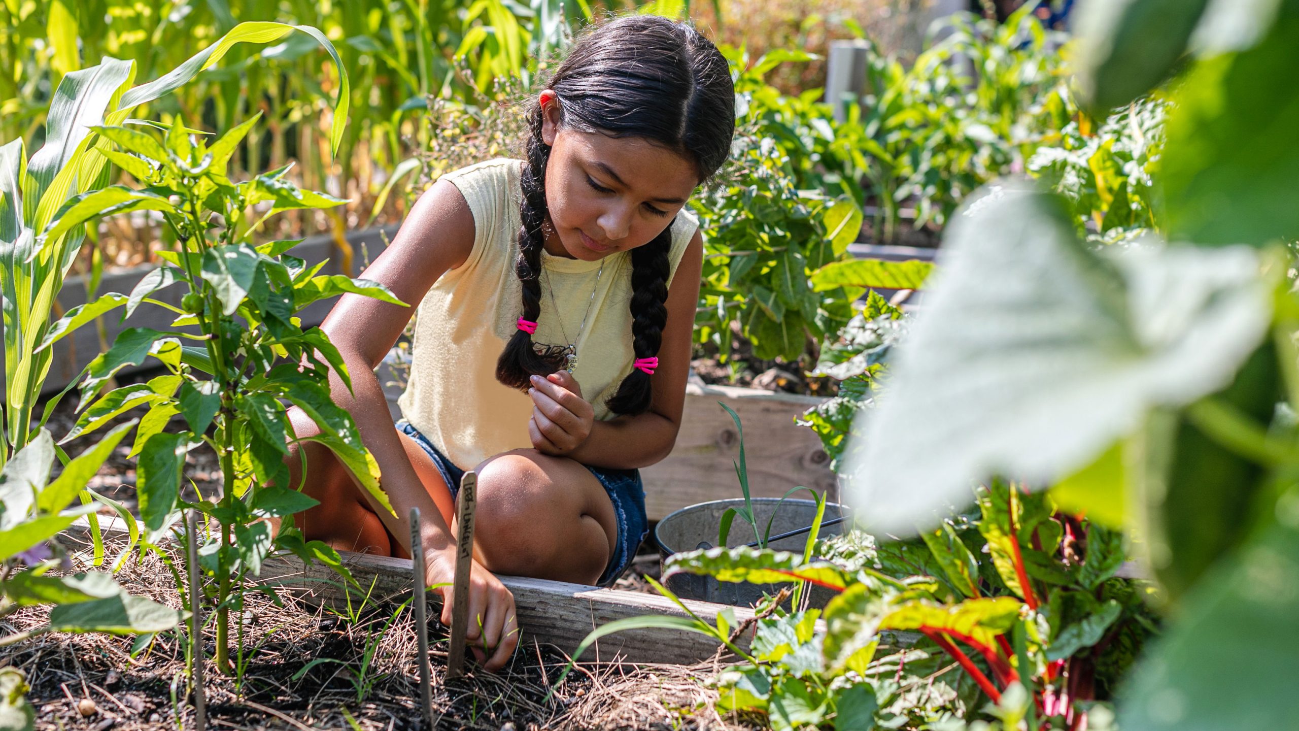 A girl with pigtails digs in a vegetable bed in the Edible Academy