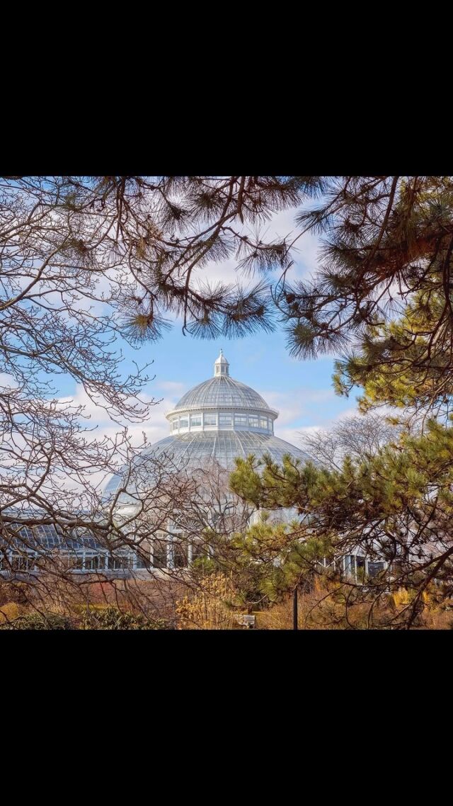 We wanted to give you a peek at some exciting news as we swing into 2024! 👀

As you can see, our look here at the Garden has evolved over time, and in just a couple of weeks, we’ll be throwing open the doors on a new chapter at NYBG! We’ve been hard at work reimagining our identity to represent who we are as a cultural institution, as leaders in plant science, and as stewards of nature around the world and right here in New York City’s greenest borough—the Bronx. We REALLY can’t wait to show you what we’ve been up to. 💫

Stay tuned for the big reveal, and in the meantime, take a look back at how we’ve grown through the years.