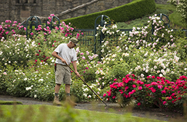 Nybg Member Tickets