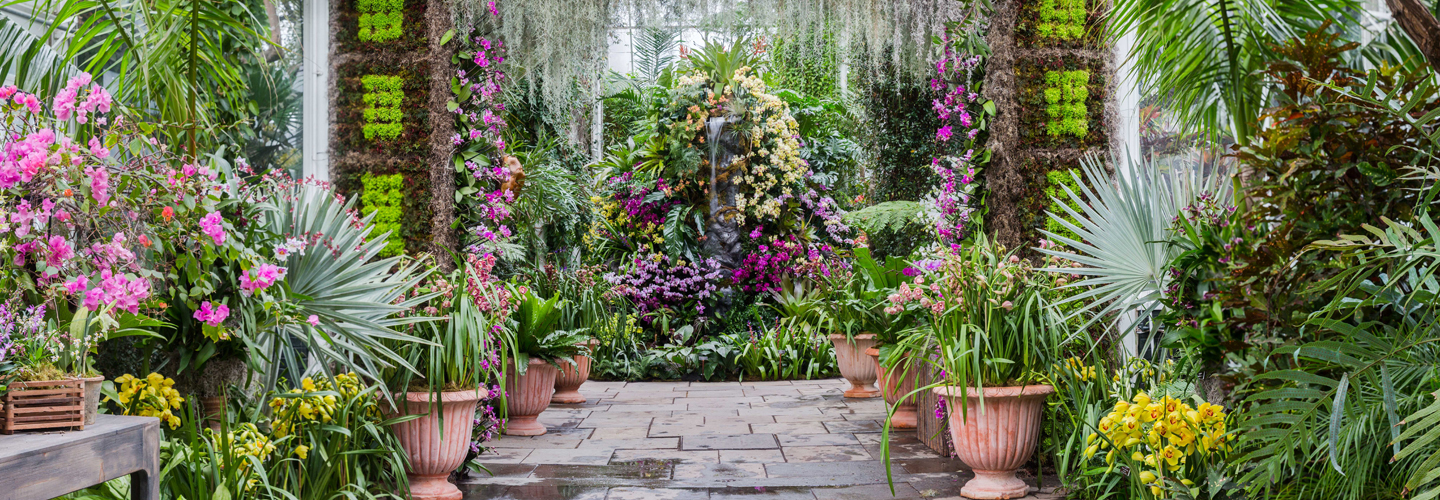 The Orchid Show NYBG