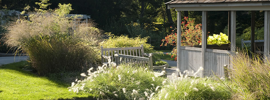 Home Gardening Center NYBG