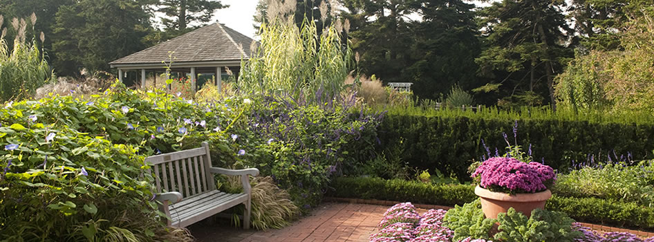 Home Gardening Center NYBG