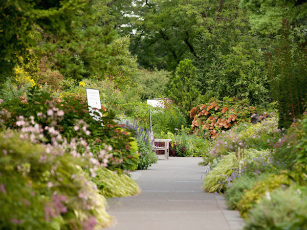 Gardens & Collections | NYBG