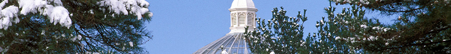 The New York Botanical Garden