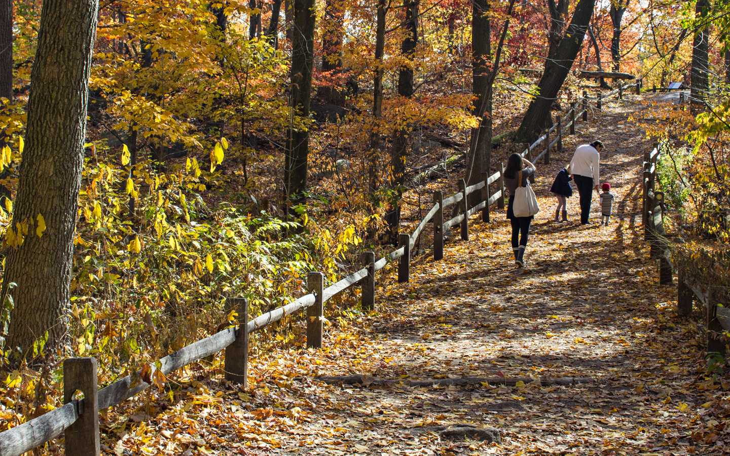 New York Botanical Garden