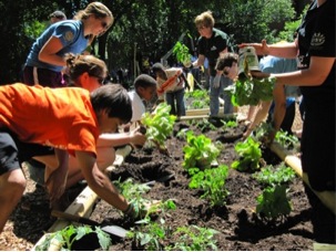<b>Education and Activities in Botanical Gardens Changed over Time to Include the Whole Family </b><br />Family Garden NYBG (photo by Ivo M. Vermeulen)