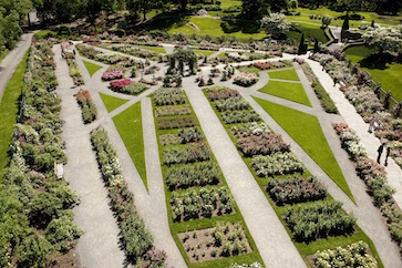 <b>The Geometrical Gardens of the Baroque Age inspired the Layout of the Rose Garden at The New York Botanical Garden </b><br />Rose Garden NYBG (photo by Ivo M. Vermeulen)