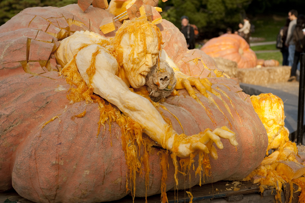 <b>Classical illustrations held in the Mertz Library are echoed in modern designs</b><br />Ray Villafane's 2011 pumpkin sculpture (photos by Ivo Vermeulen)