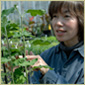kiku_image_01.jpg