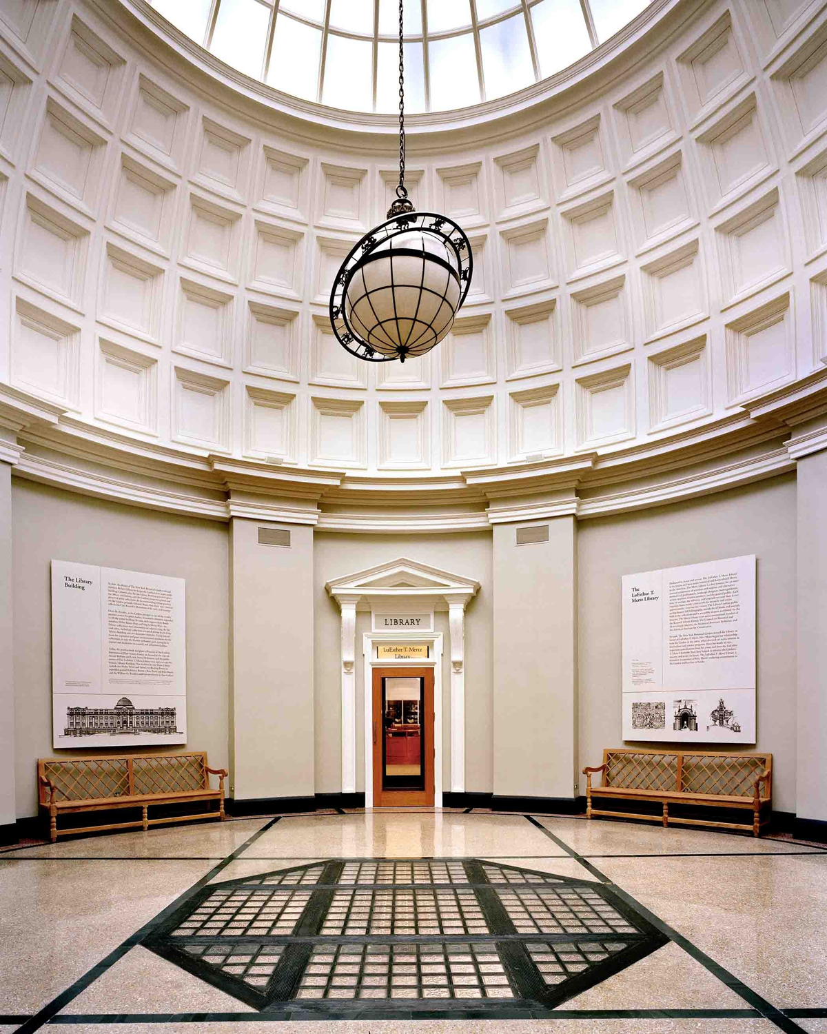 Brassica Rapa Field Mustard Cabi