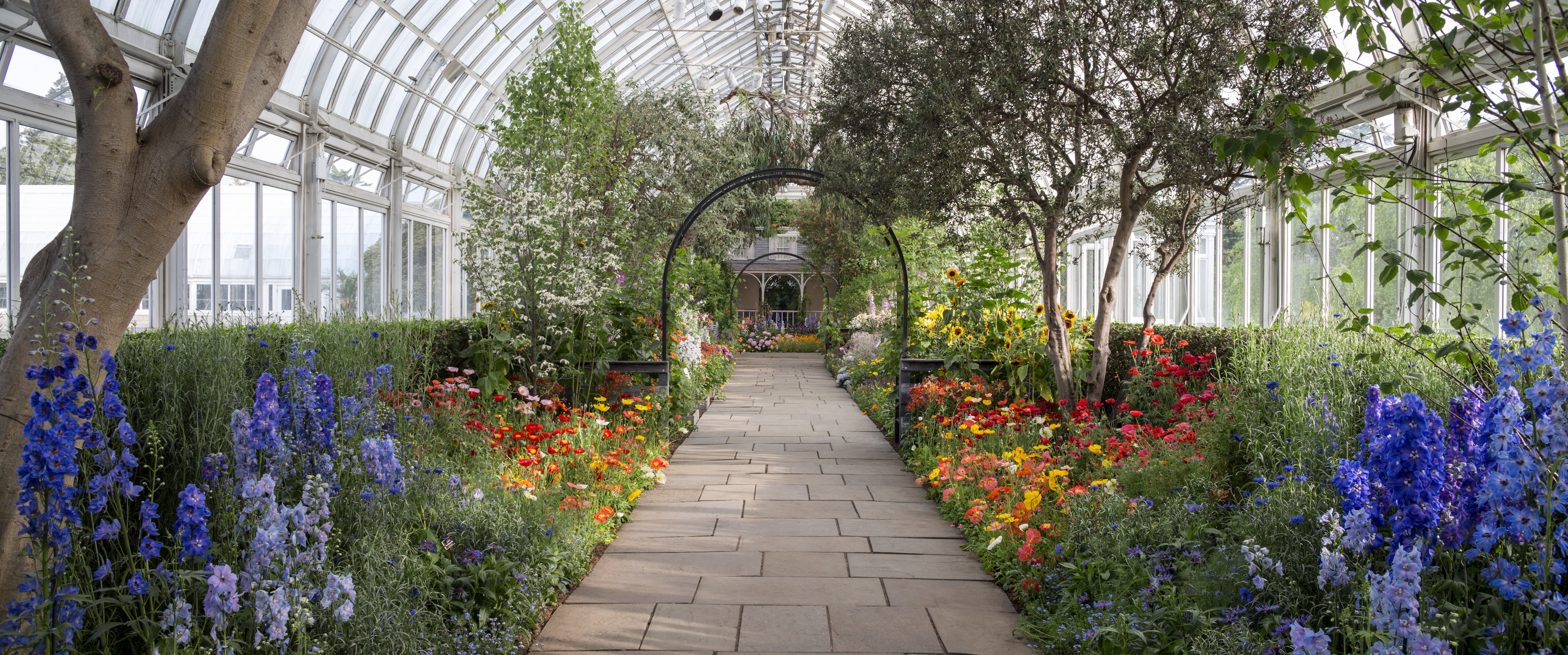the new york botanical garden the new york botanical garden