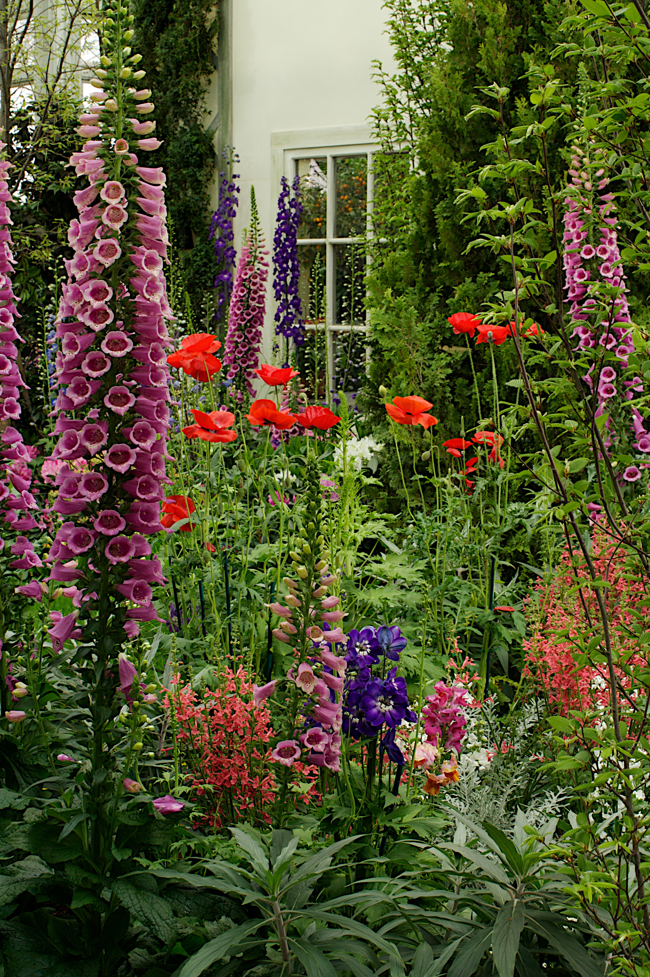 Beautiful Cottage Flower Garden