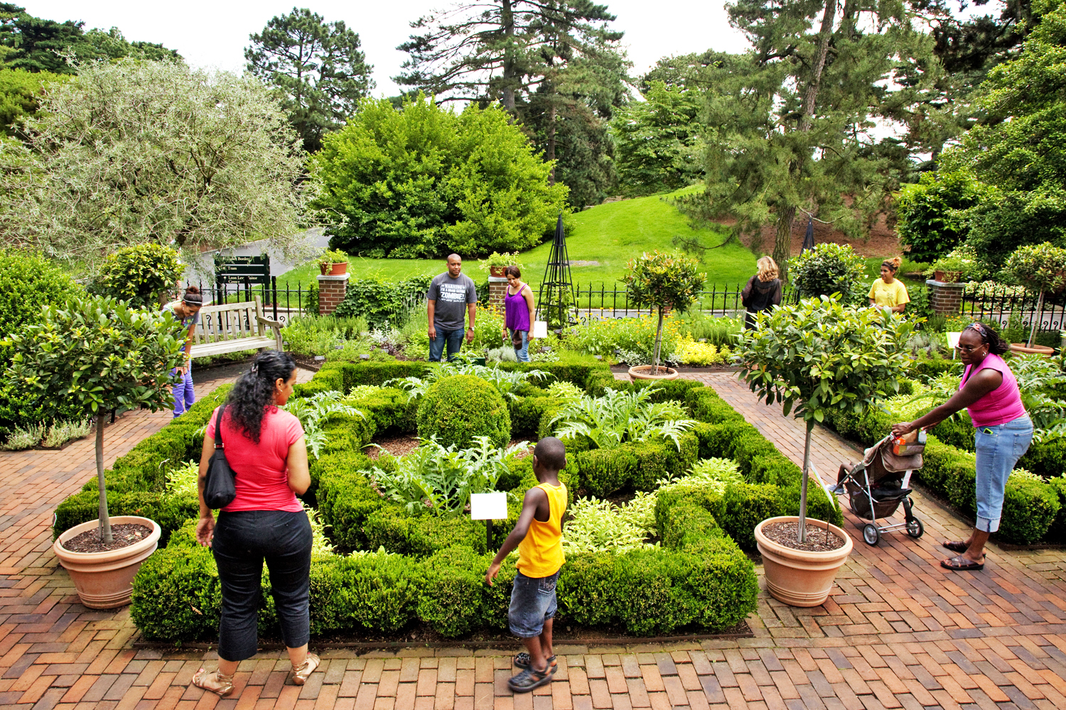 bronx botanical garden