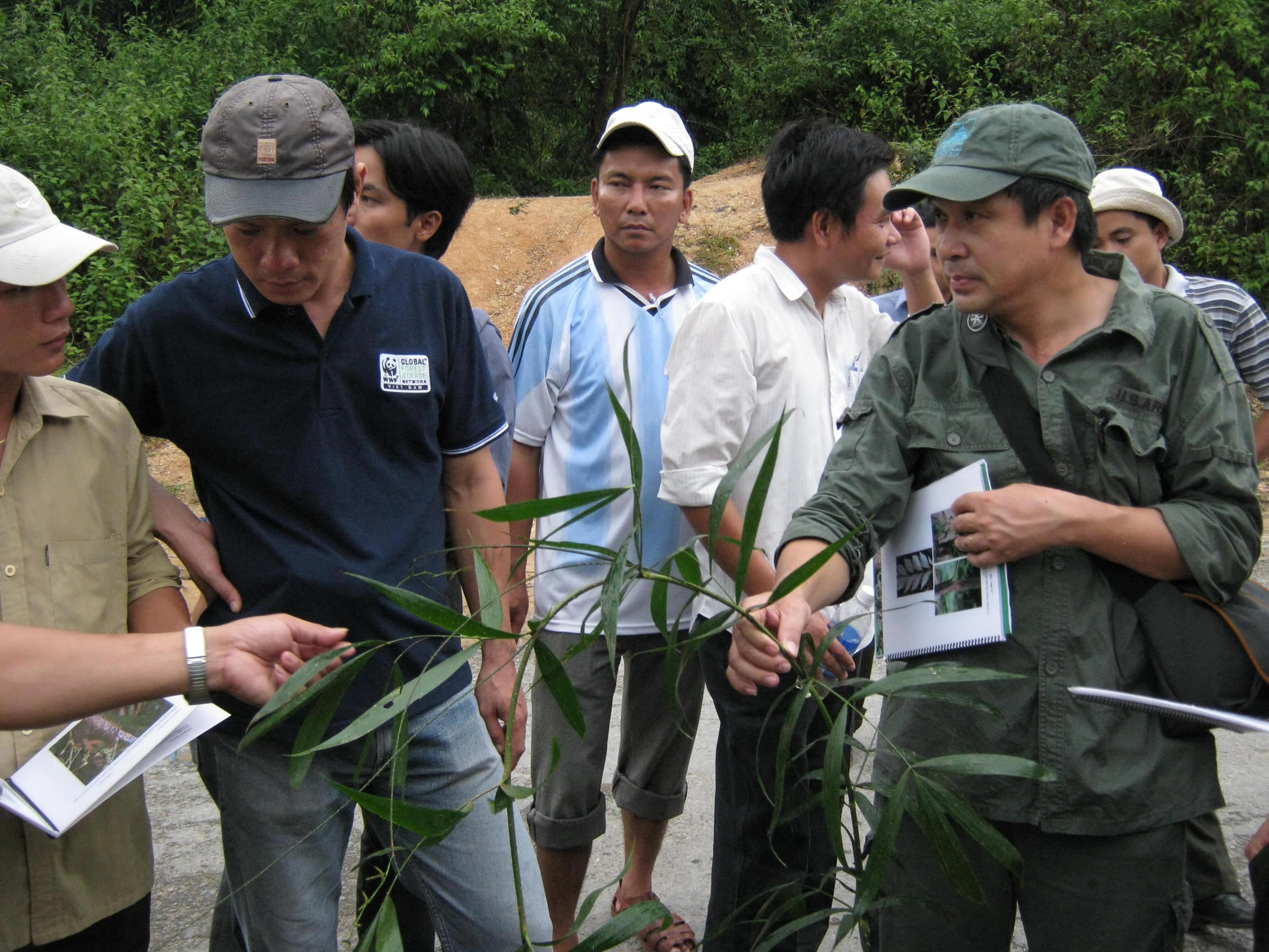 Conservation NYBG