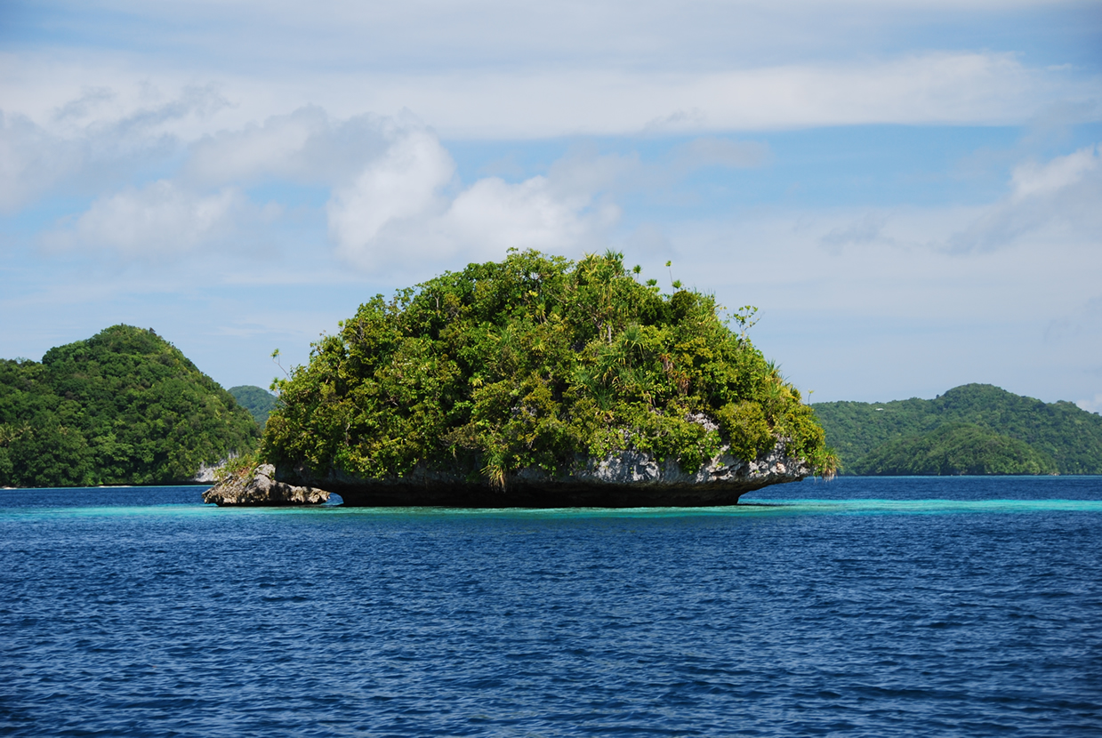 Palau Plants