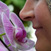 orchid_04.jpg
