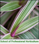 NYBG School of Professional Horticulture NYBG School of Professional Horticulture