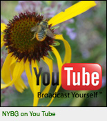 O_NYBG_on _Youtube