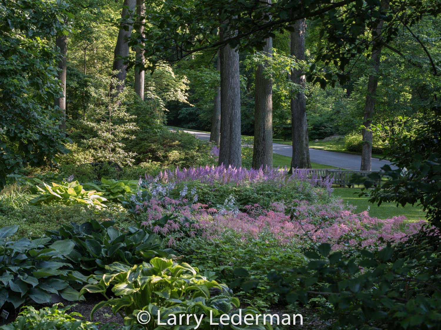 Azalea Garden