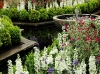 Flowers along the fountain.