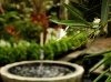 Flowers along the fountain.