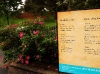 Many of the poems are placed near the plants that they reference.