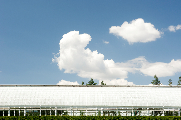mec-clouds-9