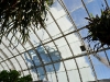 Inside the Hanging Plants House