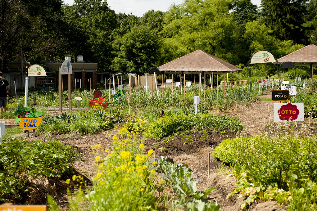 A View of the beds in Mario Batali's Kitchen Gardens