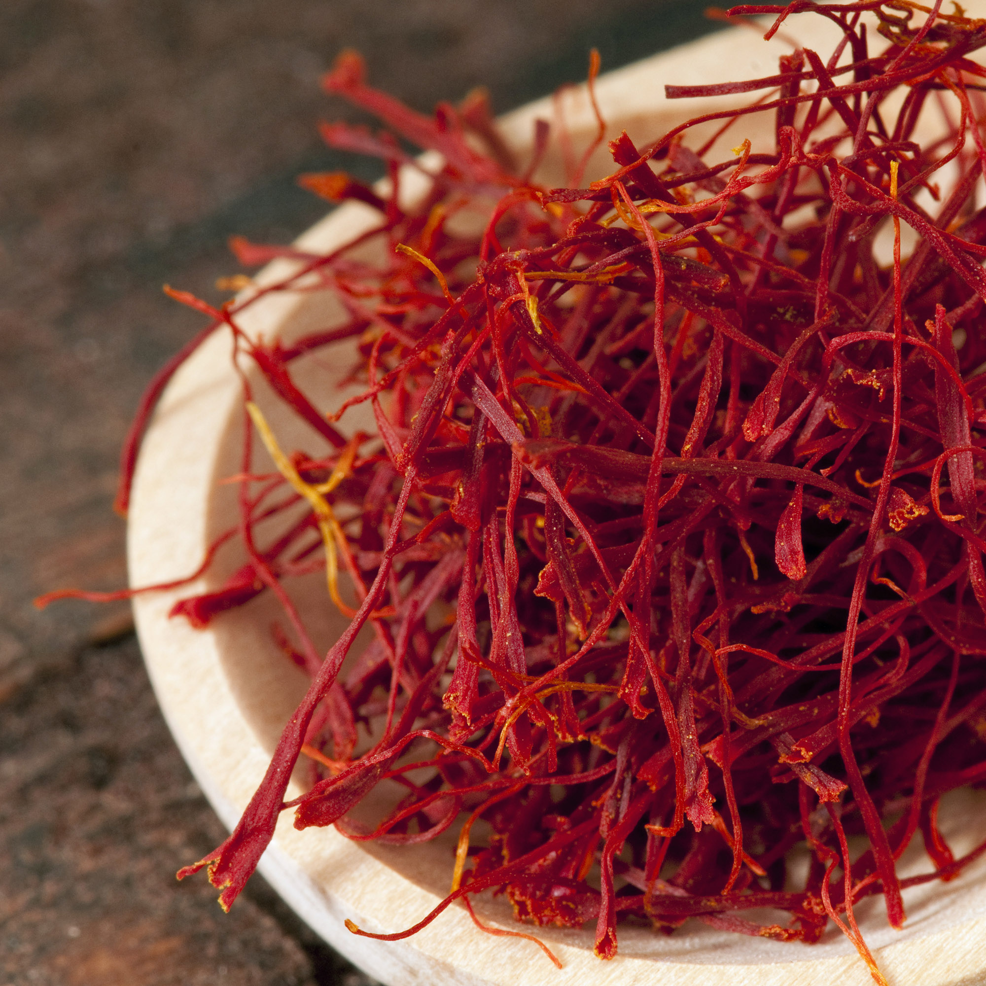 Flavors of Morocco Saffron Plant Talk