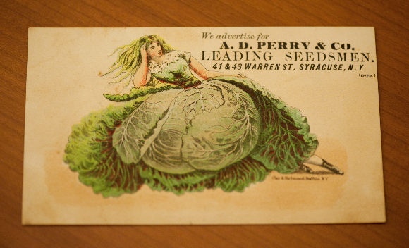 seed-packet-collection-11