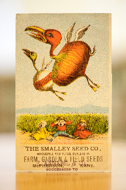 seed-packet-collection-15