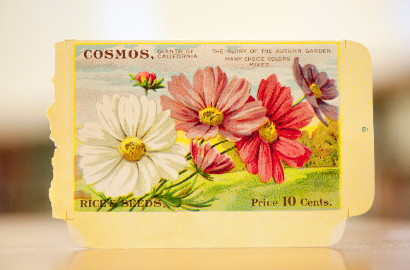 seed-packet-collection-3