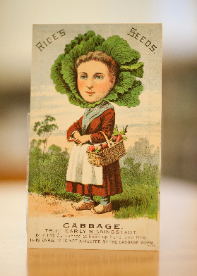 seed-packet-collection-7