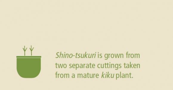 cuttings