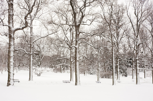 snow-13
