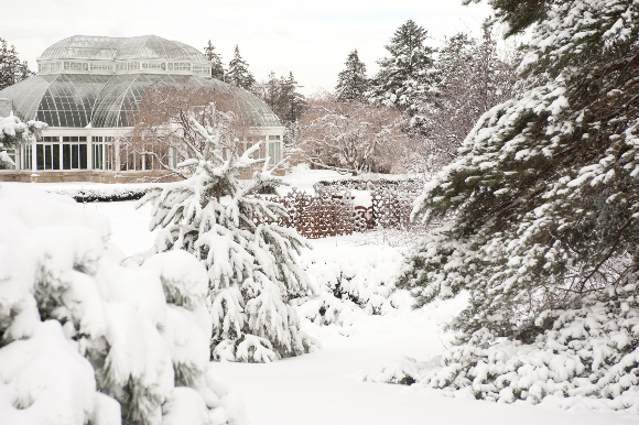 snow-4