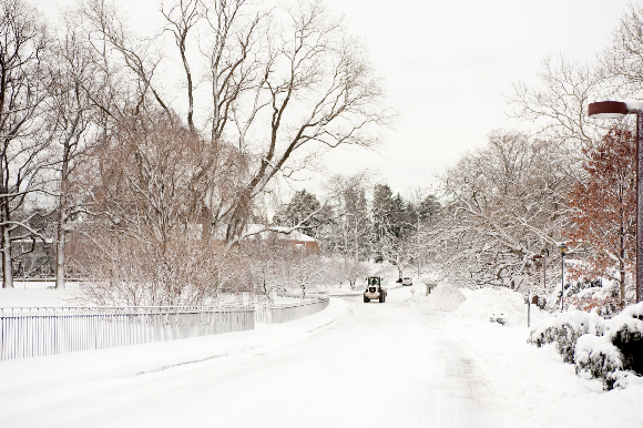 snow-7