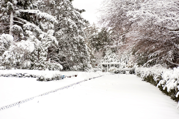 snow-9